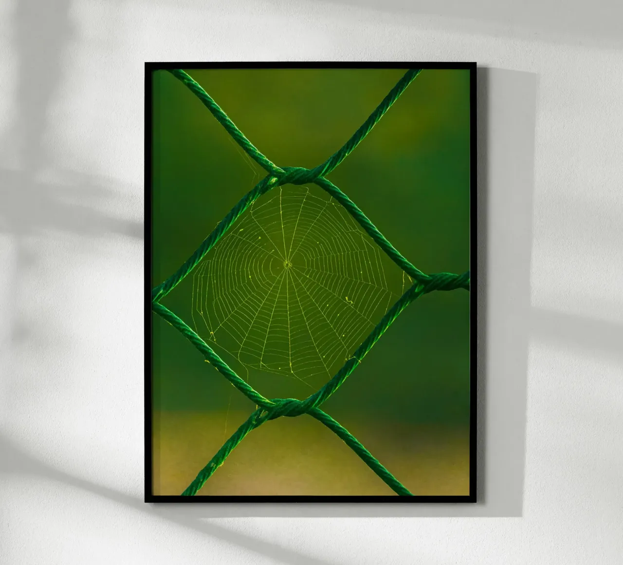 spider web poster by onelife