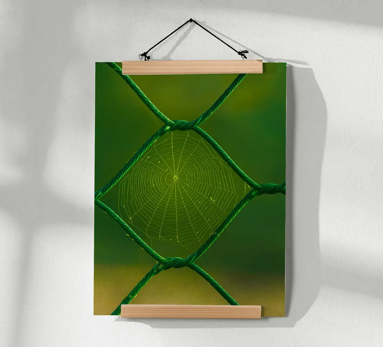 spider web poster by onelife