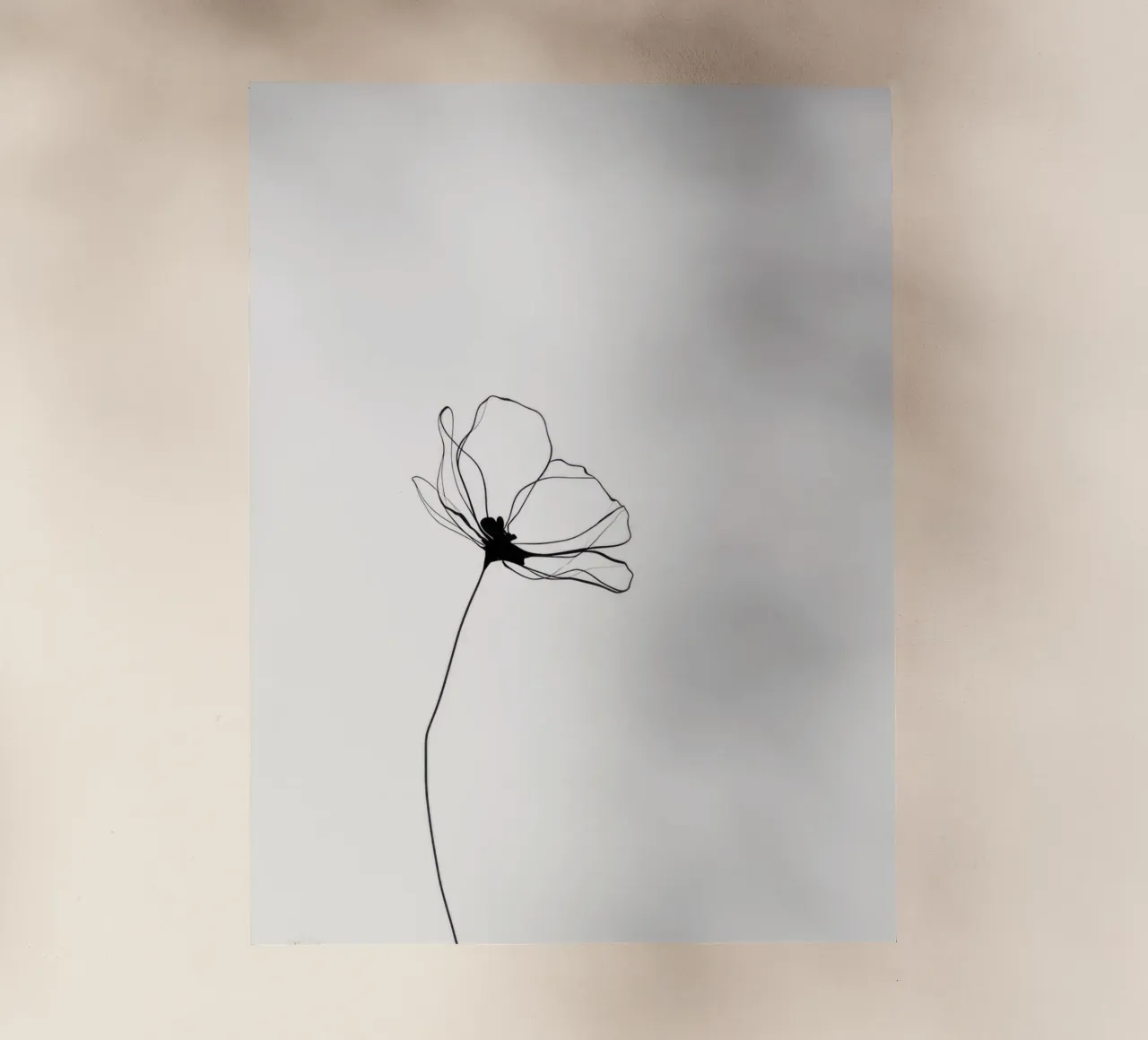 Hand-Drawn Flower – Minimal Botanical Line Art Print pellicola backlit da Aralyn