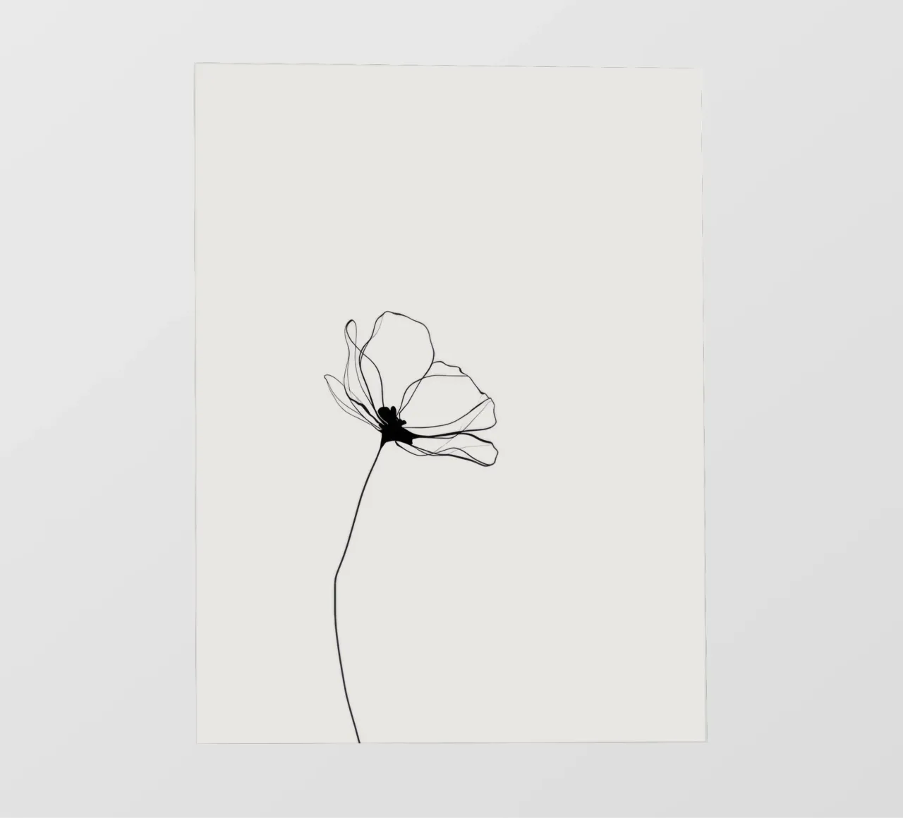 Hand-Drawn Flower – Minimal Botanical Line Art Print pellicola backlit da Aralyn