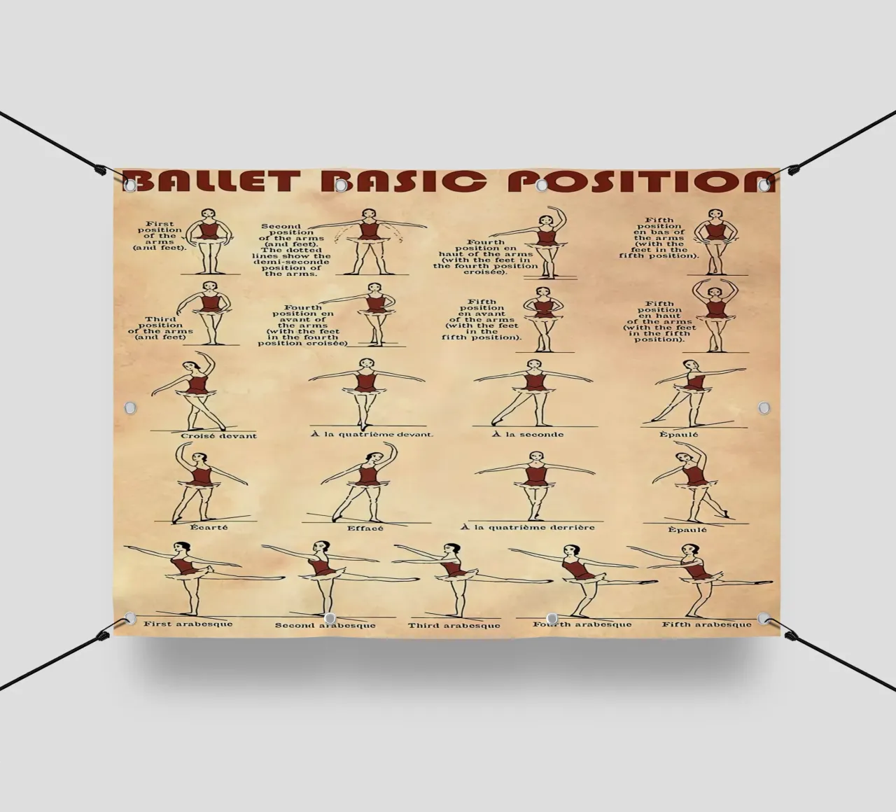 Ballet Basic Position pvc cover by Maritiknowled