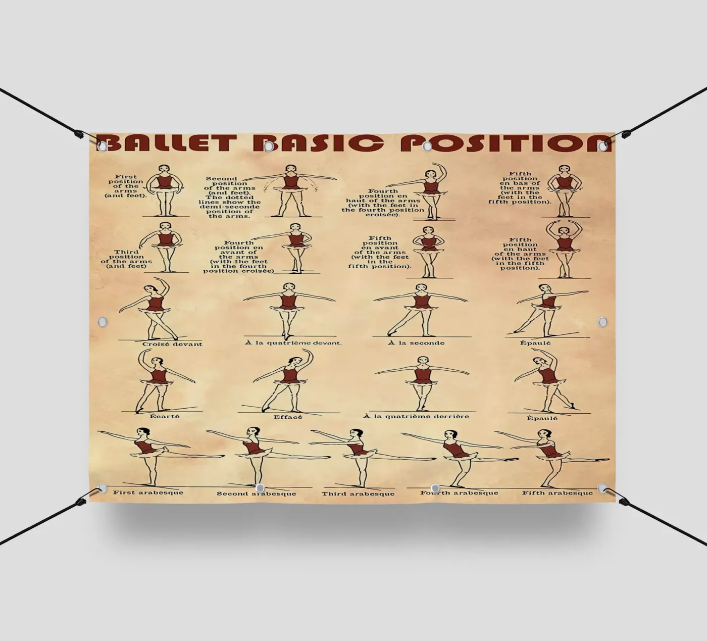 Ballet Basic Position PVC Plane von Maritiknowled