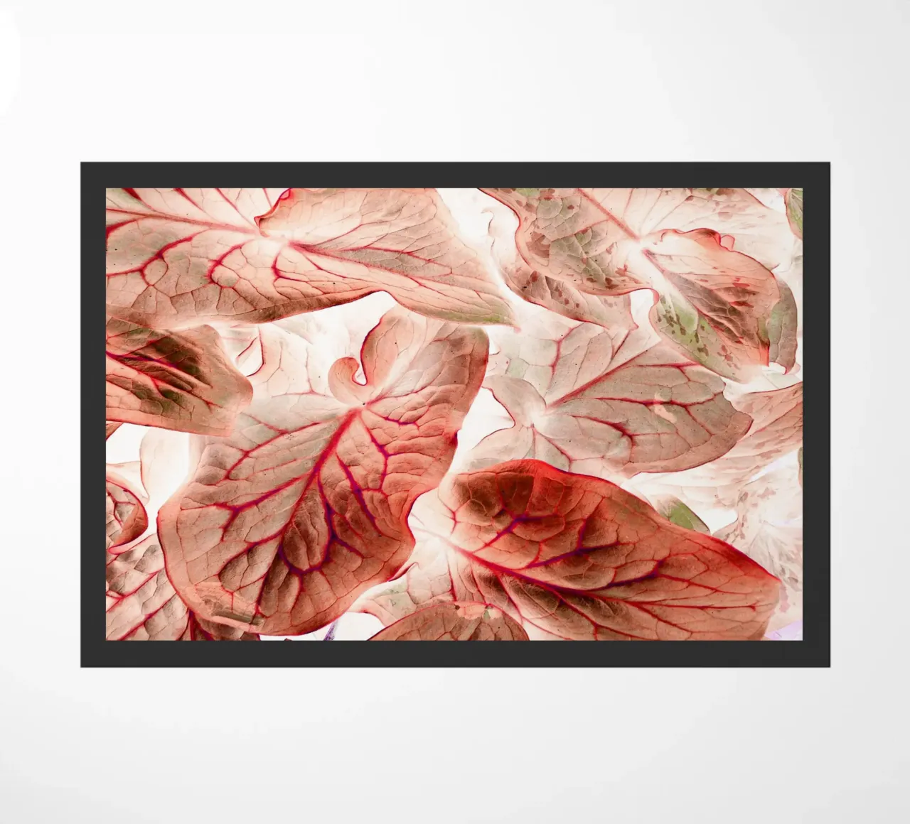 Arum Red zerbino da ArtSkratches