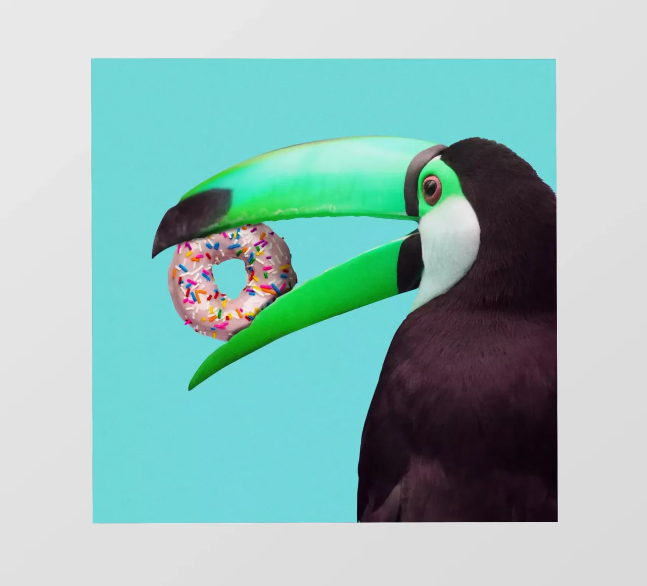 Donut toucan pellicola backlit da Dikhotomy