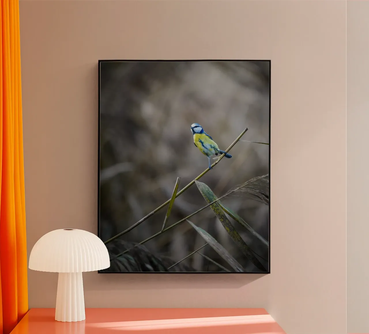 Cinciallegra blu plexiglass da Tom's Wildlife