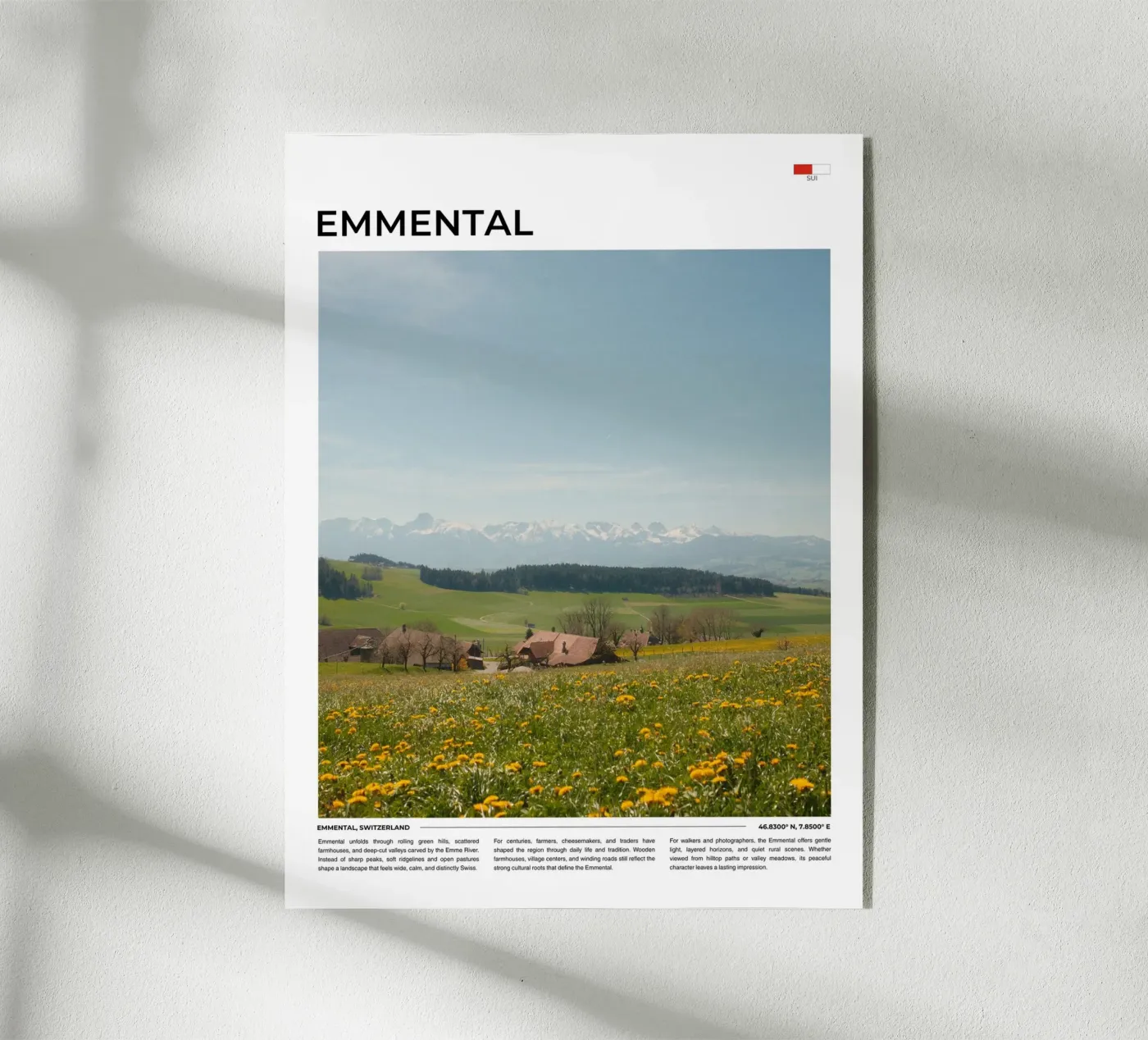 Emmental: Typography plexiglass da FujiType