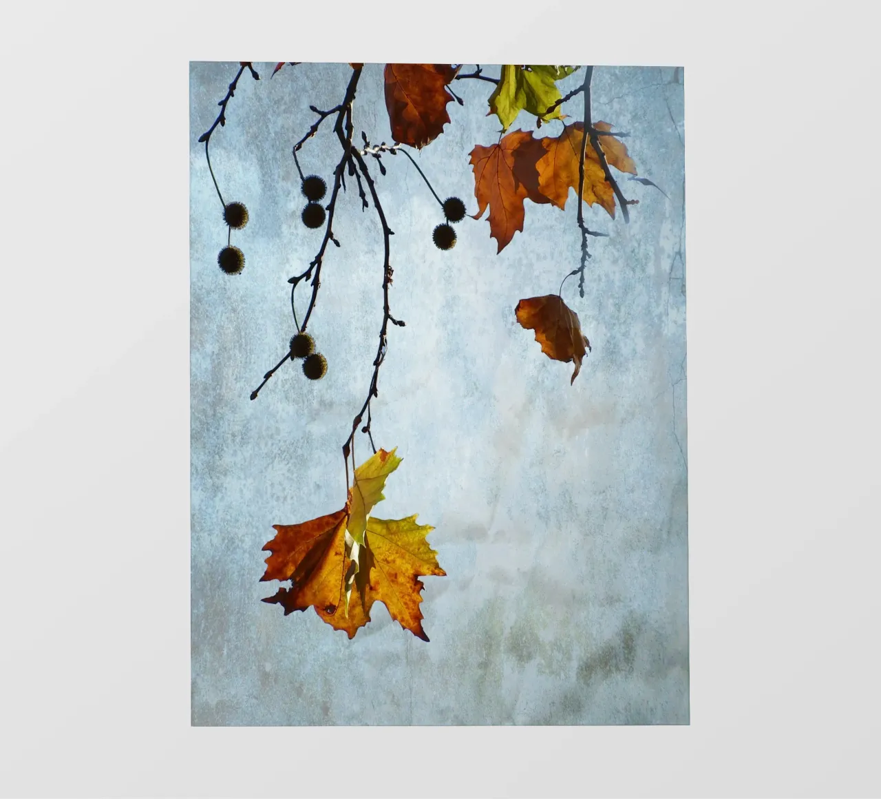 Plane Tree in Fall telo in pvc da ArtSkratches