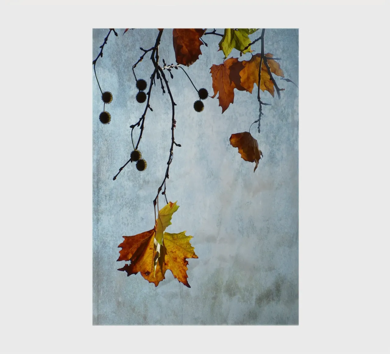 Plane Tree in Fall notebook by ArtSkratches