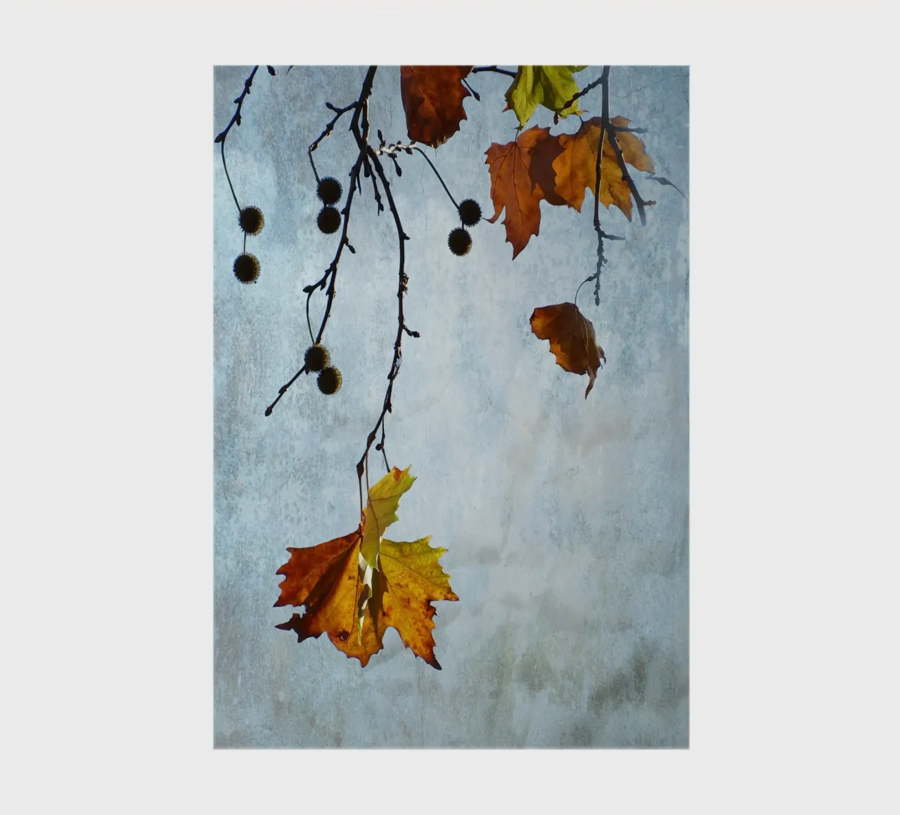Plane Tree in Fall notebook by ArtSkratches