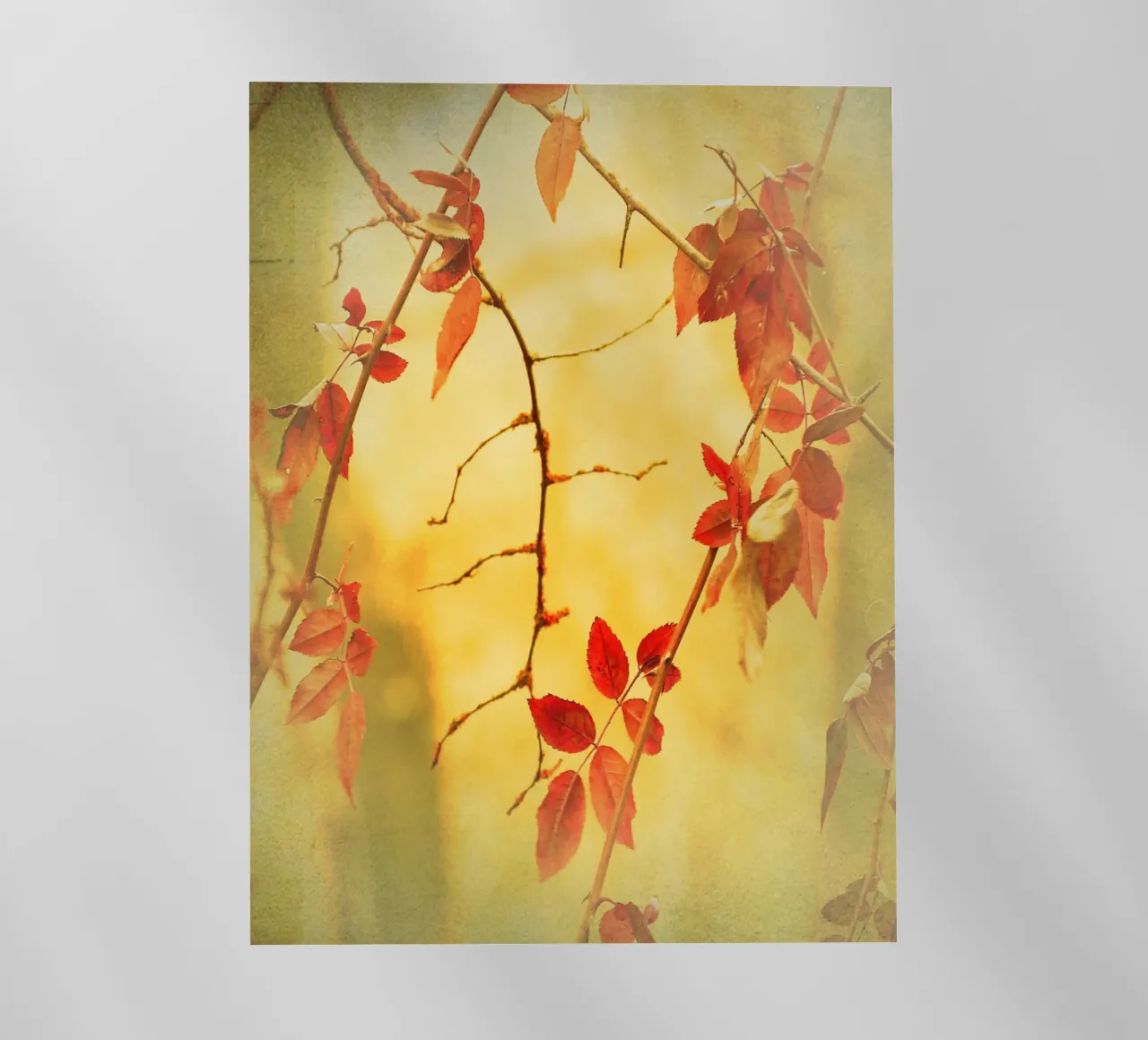 Fiamme d'autunno pellicola backlit da ArtSkratches