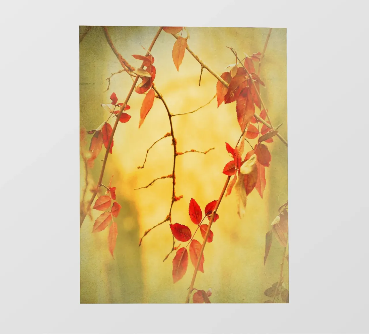 Fiamme d'autunno pellicola backlit da ArtSkratches