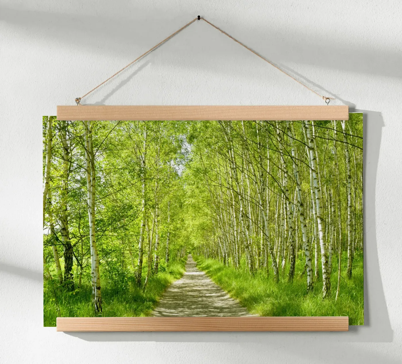 Birch forest poster by Atteloi