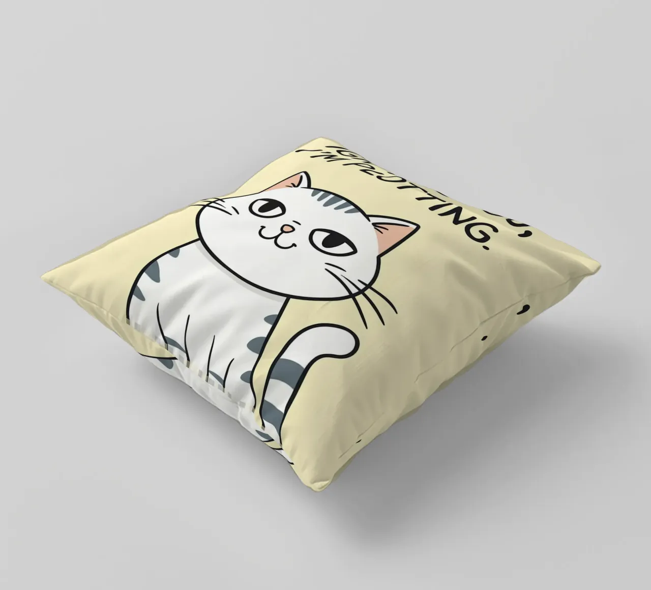 Non ti sto ignorando, sto complottando cuscino da Shillas