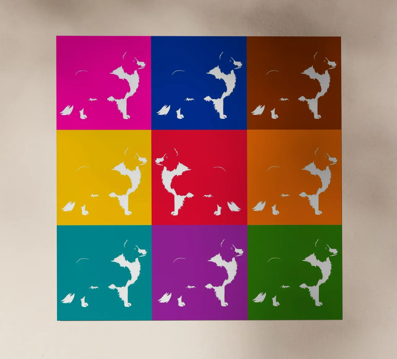 Border collie pellicola backlit da Pop dogs