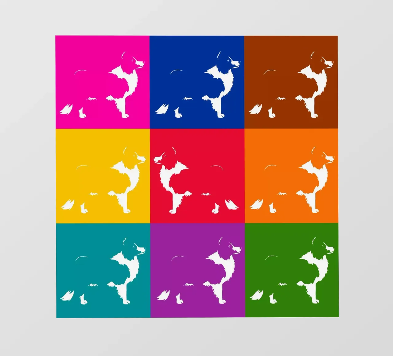 Border collie pellicola backlit da Pop dogs