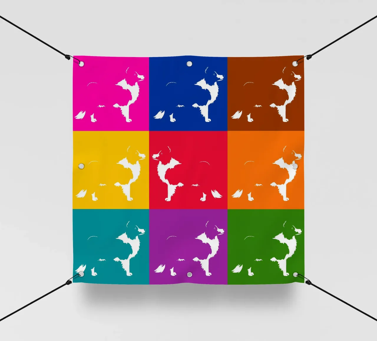 Border collie telo in pvc da Pop dogs