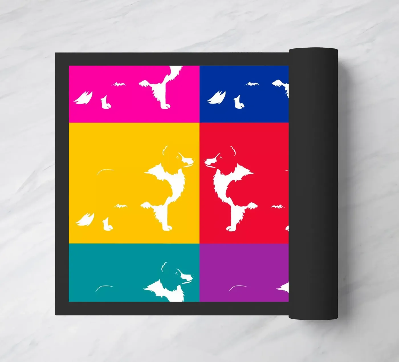 Border collie zerbino da Pop dogs