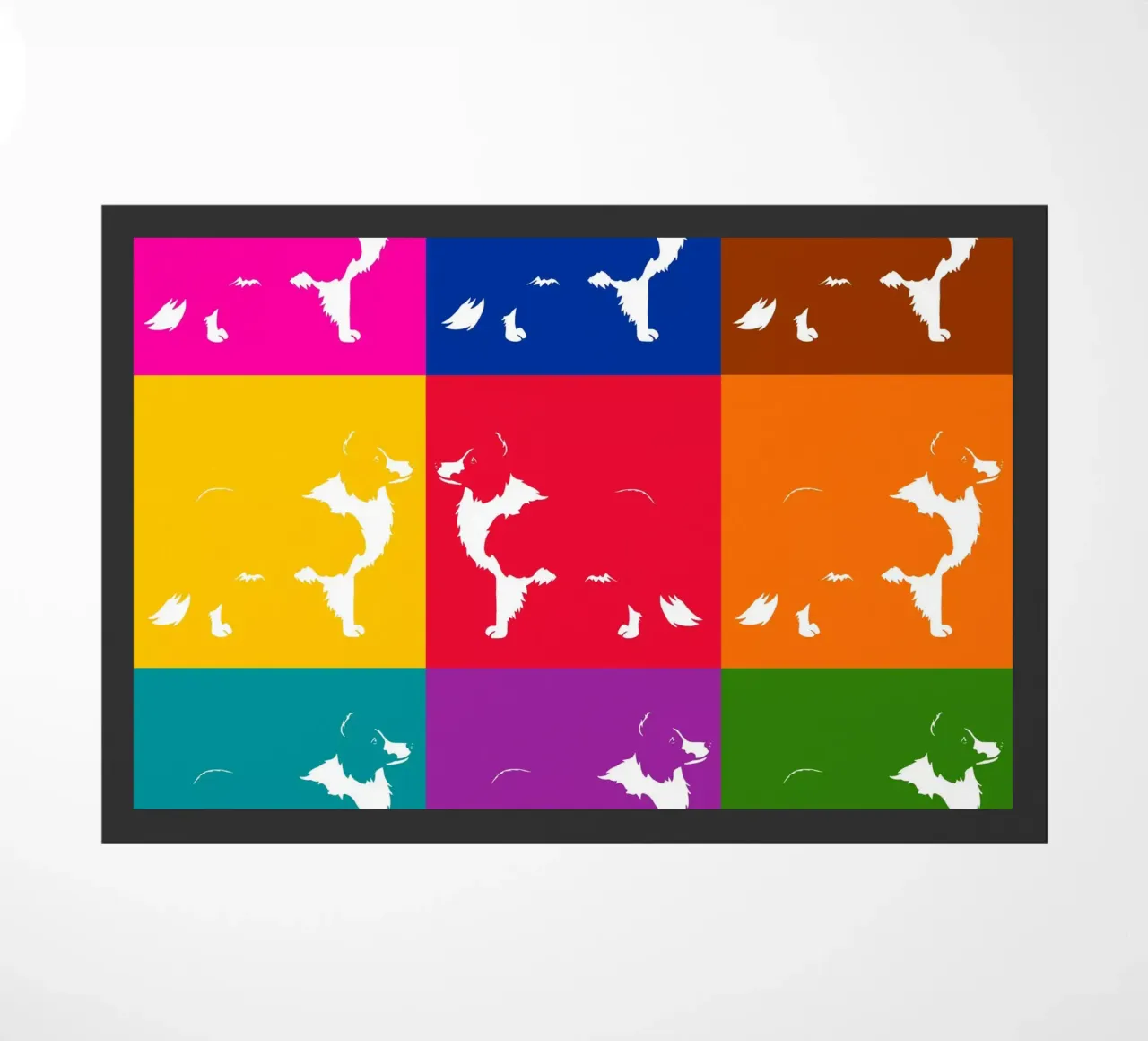 Border collie zerbino da Pop dogs