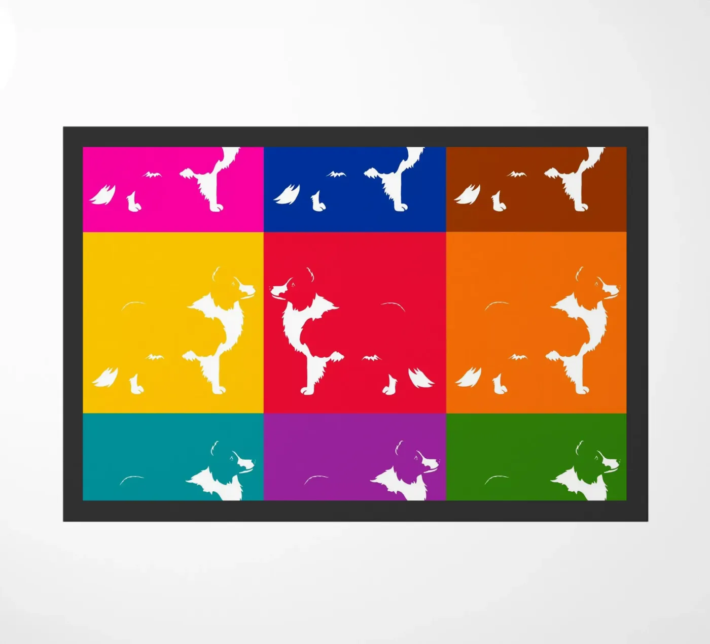 Border collie zerbino da Pop dogs