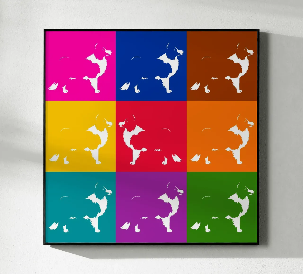 Border collie plexiglass da Pop dogs