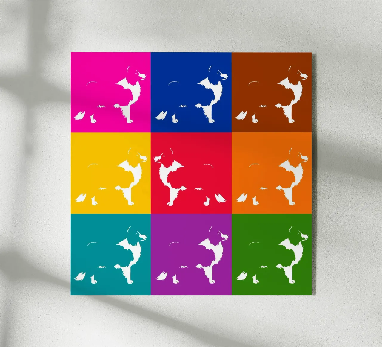 Border collie plexiglass da Pop dogs