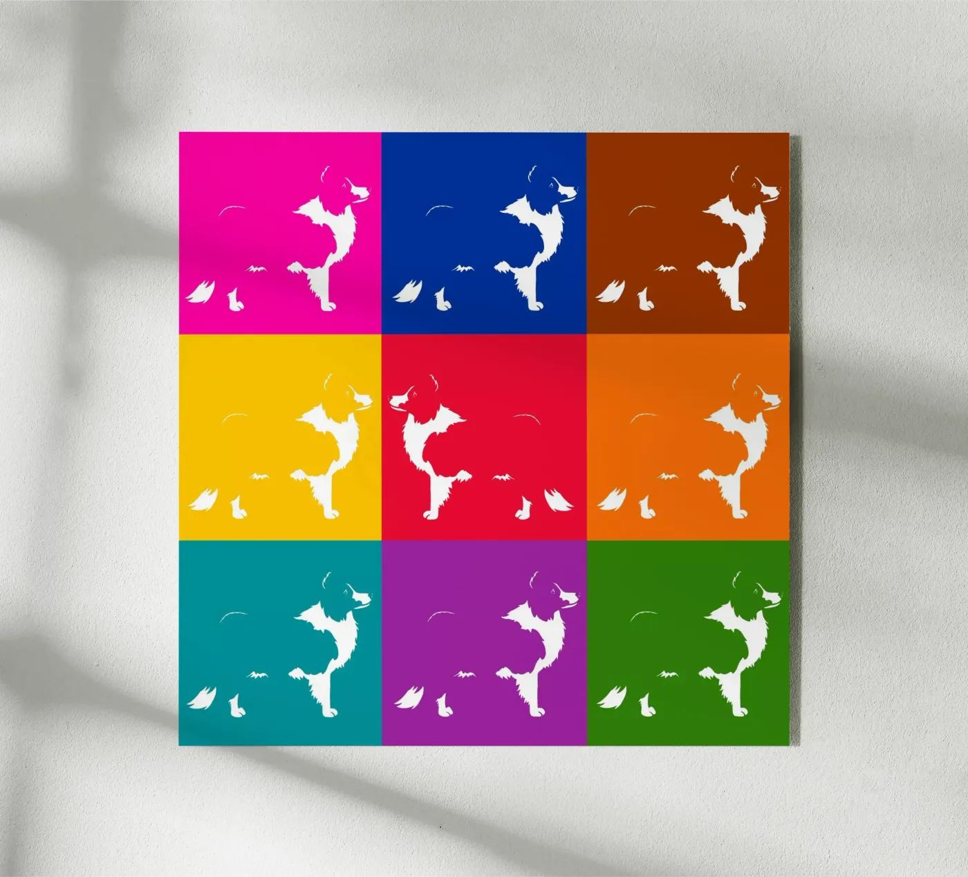 Border collie plexiglass da Pop dogs