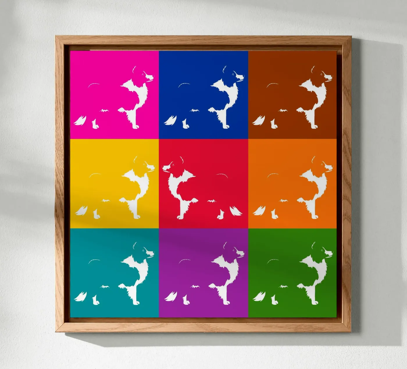 Border collie forex plate by Pop dogs