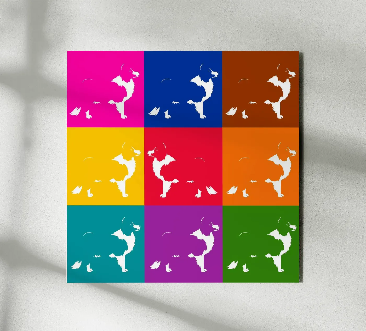 Border collie forex plate by Pop dogs