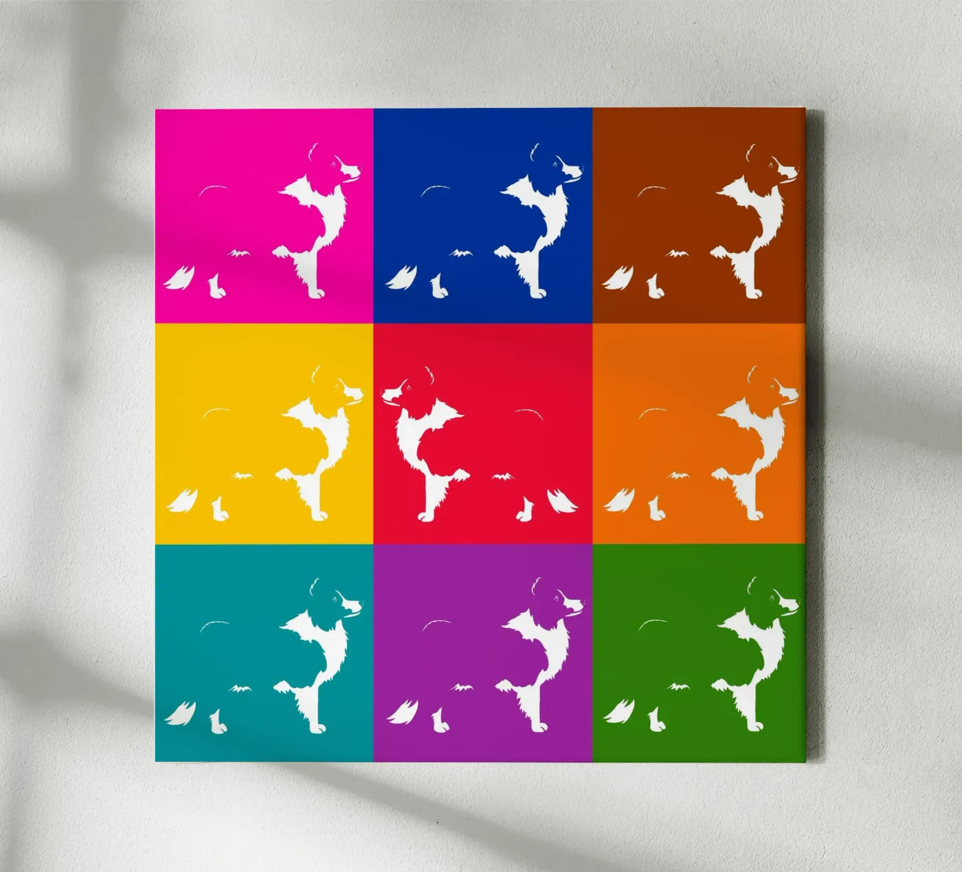 Border collie canvas by Pop dogs