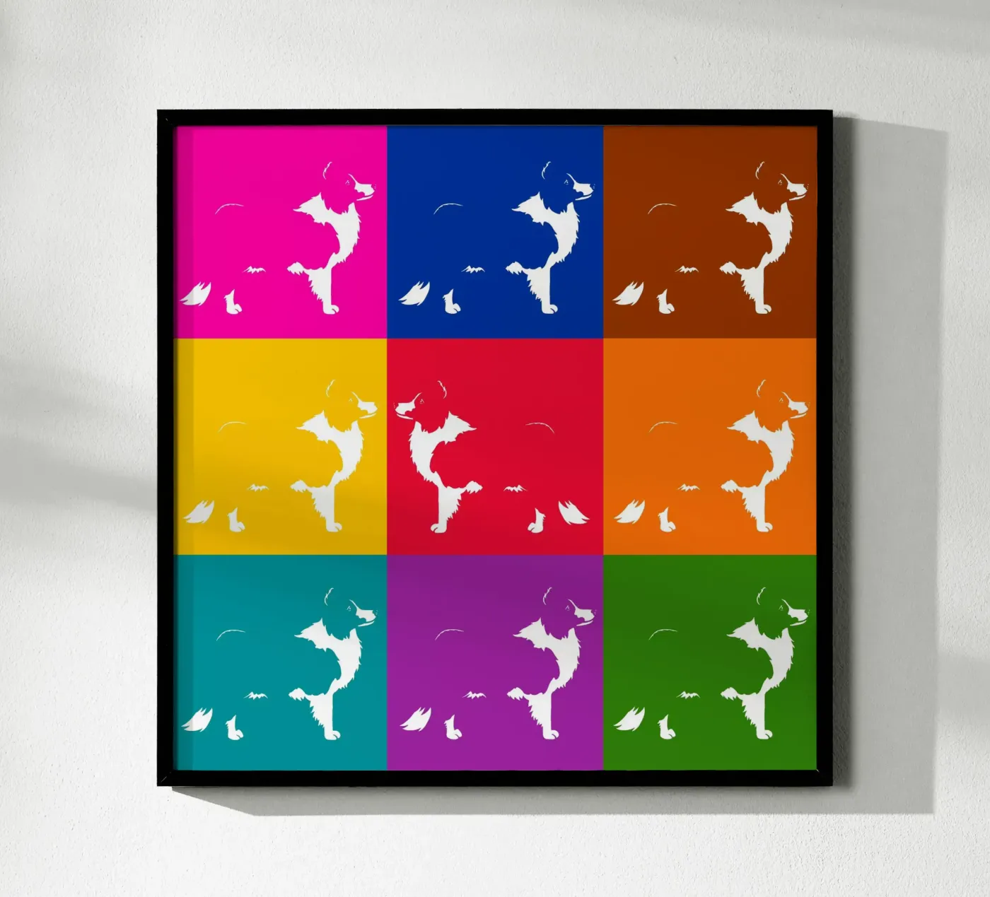 Border collie poster de Pop dogs