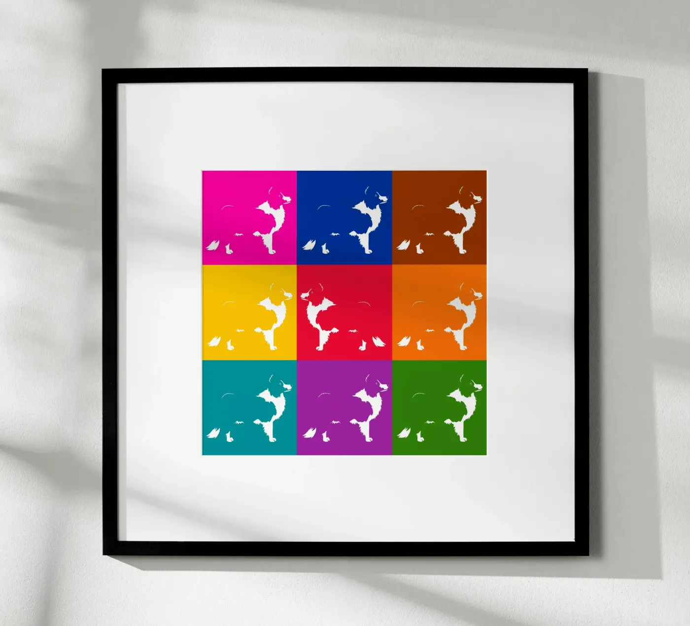 Border collie poster de Pop dogs