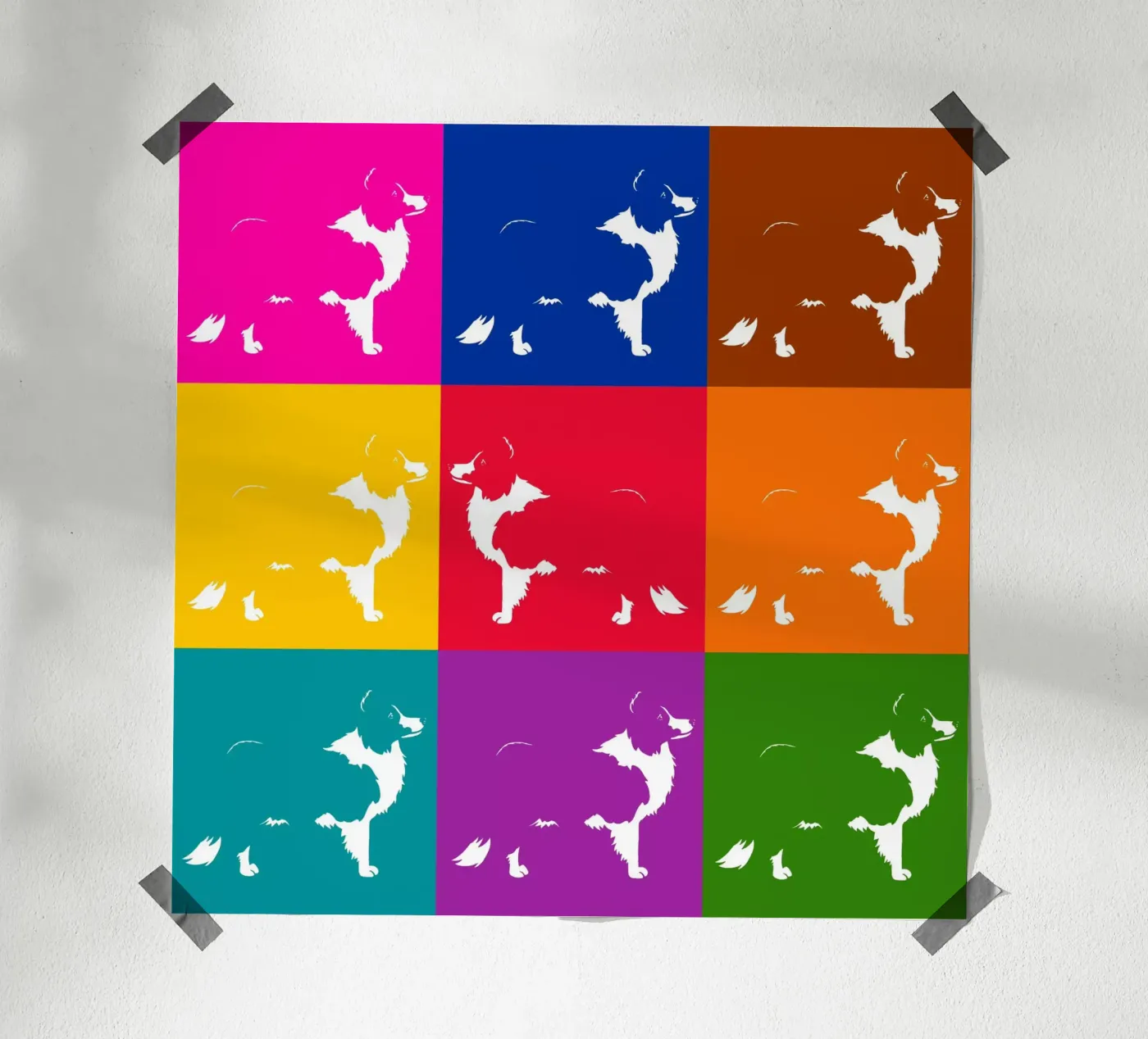 Border collie poster da Pop dogs