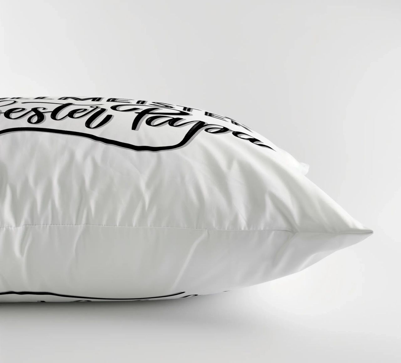 Meilleur papa. Mon pote. Bricoleur professionnel. Maître du barbecue. coussin de CalliLetters
