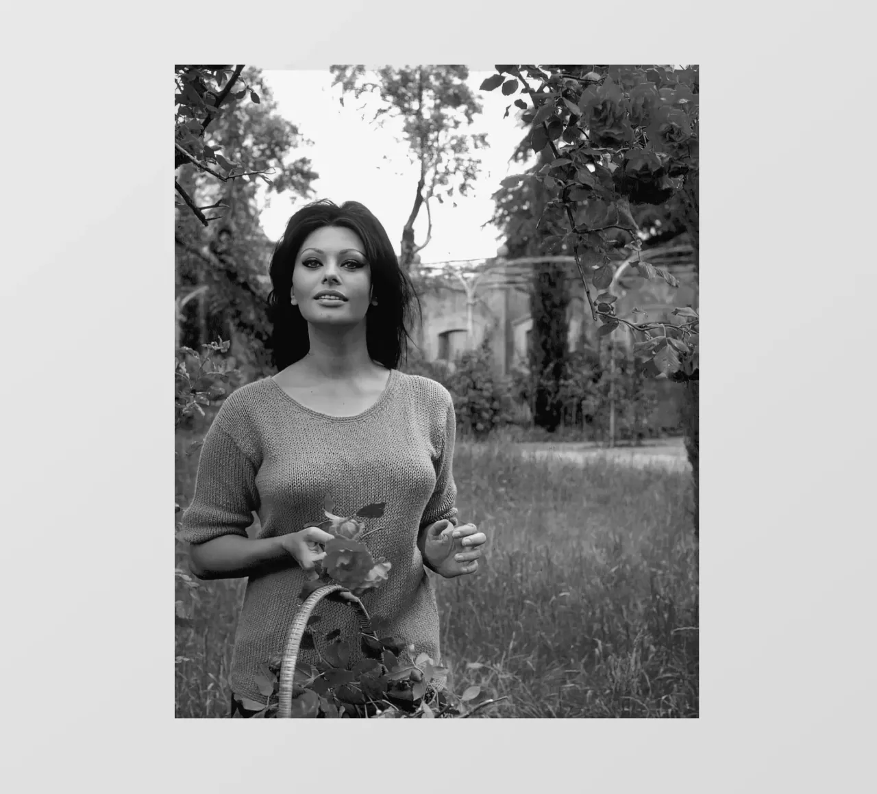 Shopia Loren fa un picnic nel giardino fiorito pellicola backlit da Rachelwhell