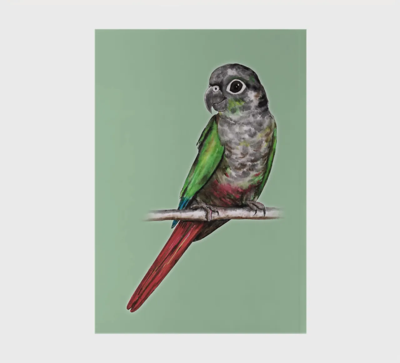 Green cheeked conure notebook by BwiseLizzy