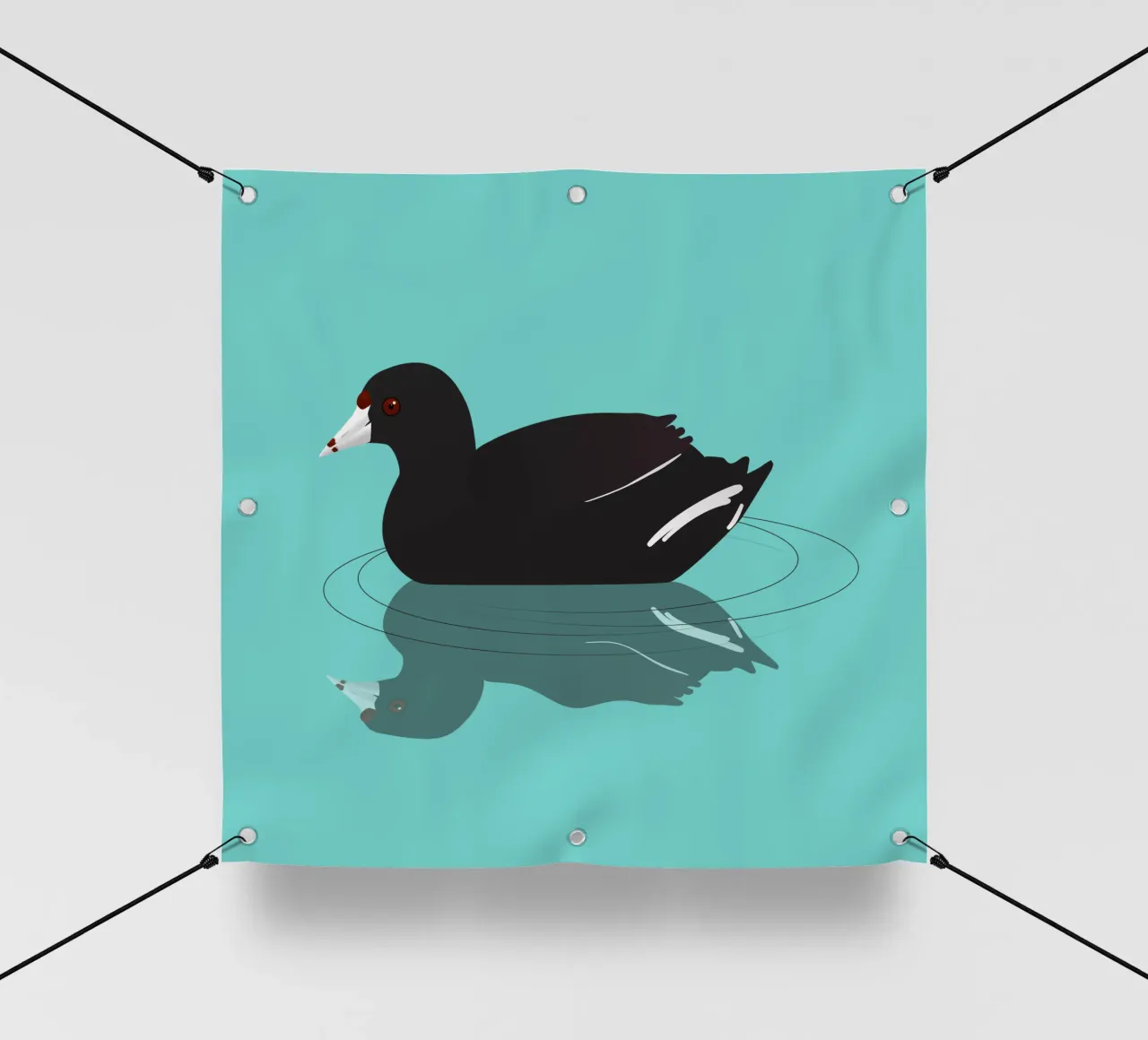 An American coot or mud hen pvc cover by BwiseLizzy