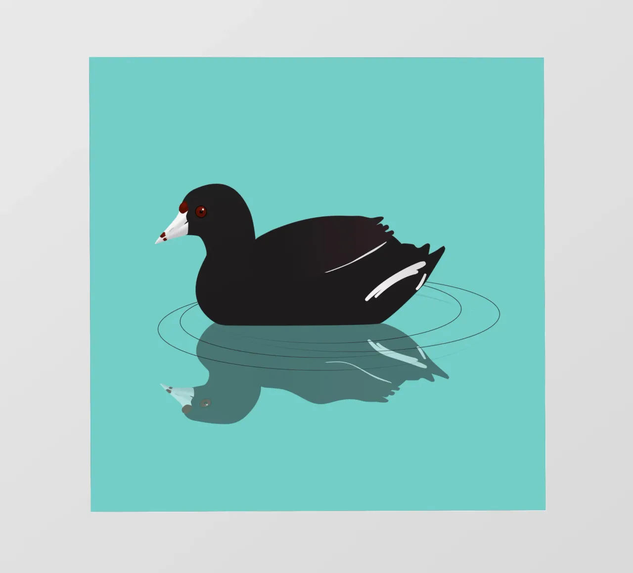 An American coot or mud hen pvc cover by BwiseLizzy