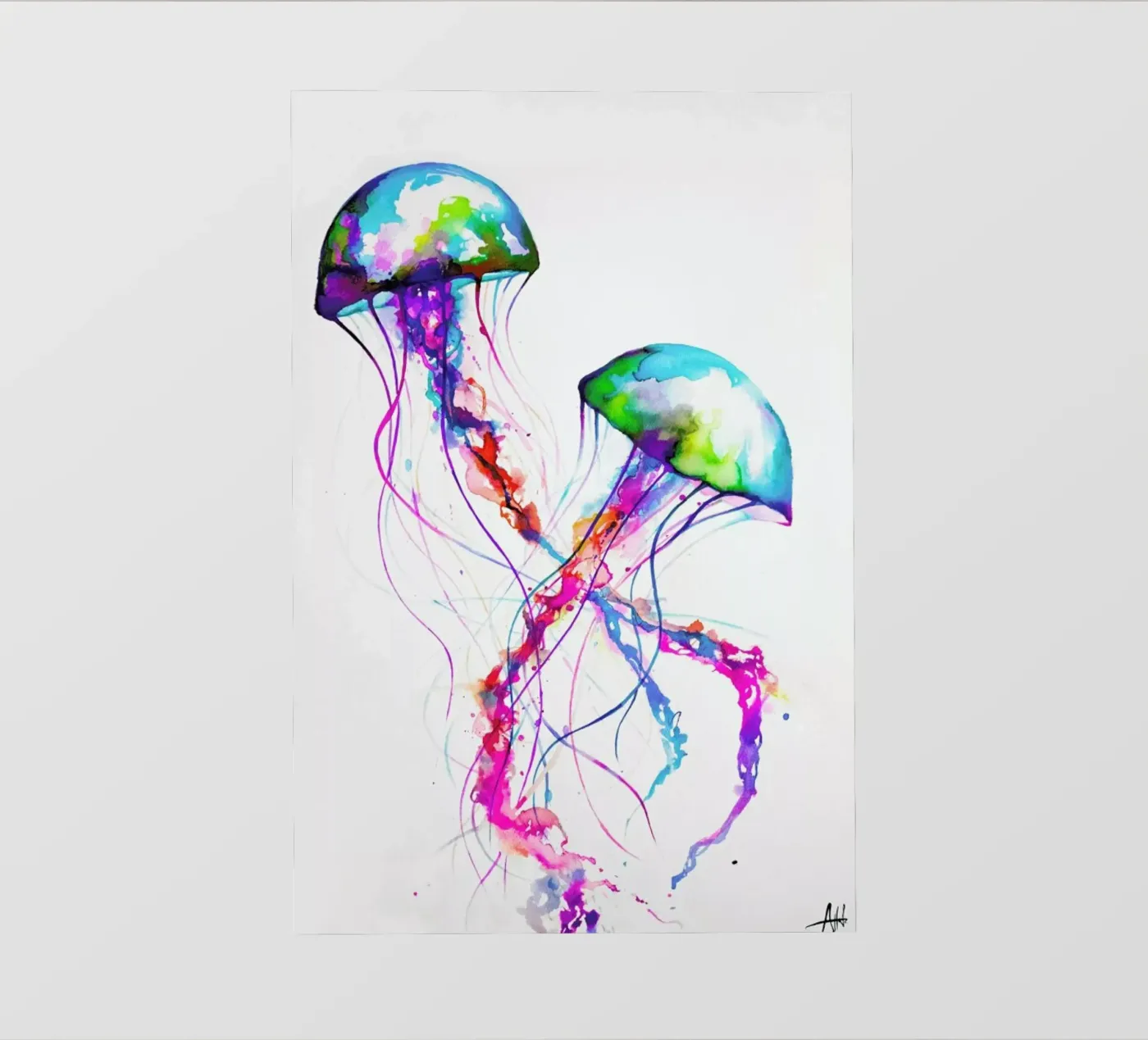 Narasumas pellicola backlit da Marc Allante