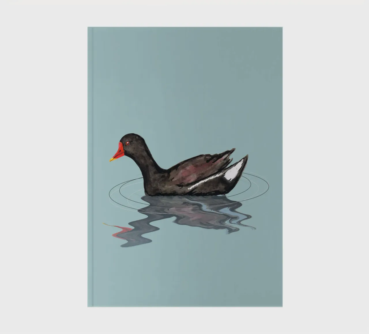 Gallinella d'acqua comune diario da BwiseLizzy