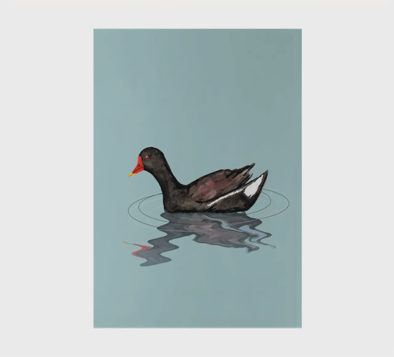 Gallinella d'acqua comune diario da BwiseLizzy