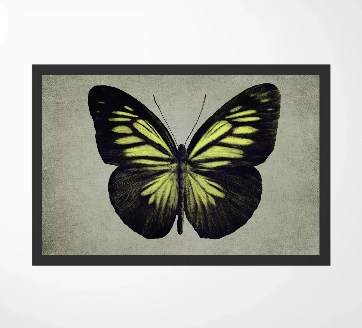 Papillon (yellow) zerbino da Eric Fan