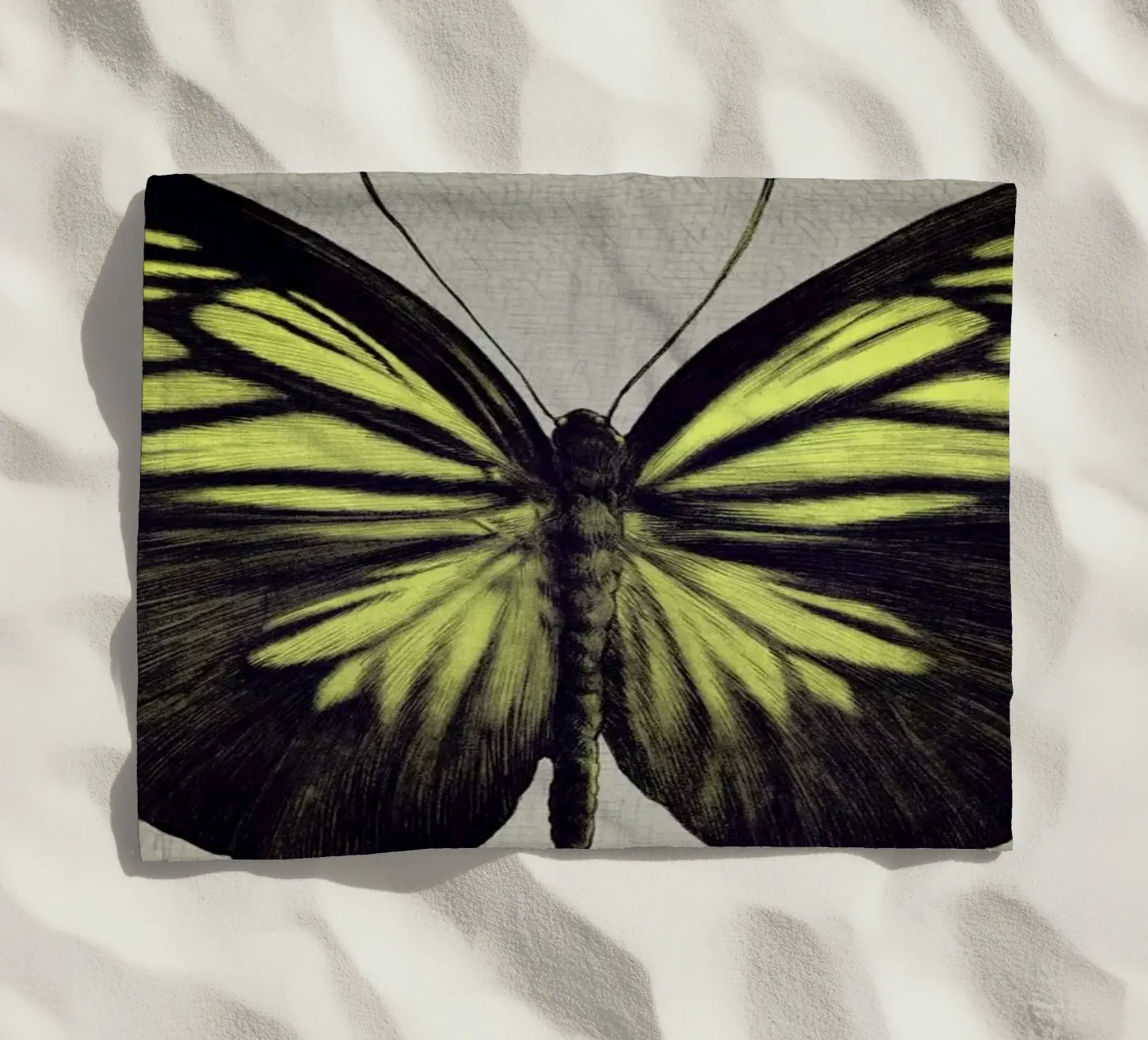 Papillon (yellow) telo mare da Eric Fan