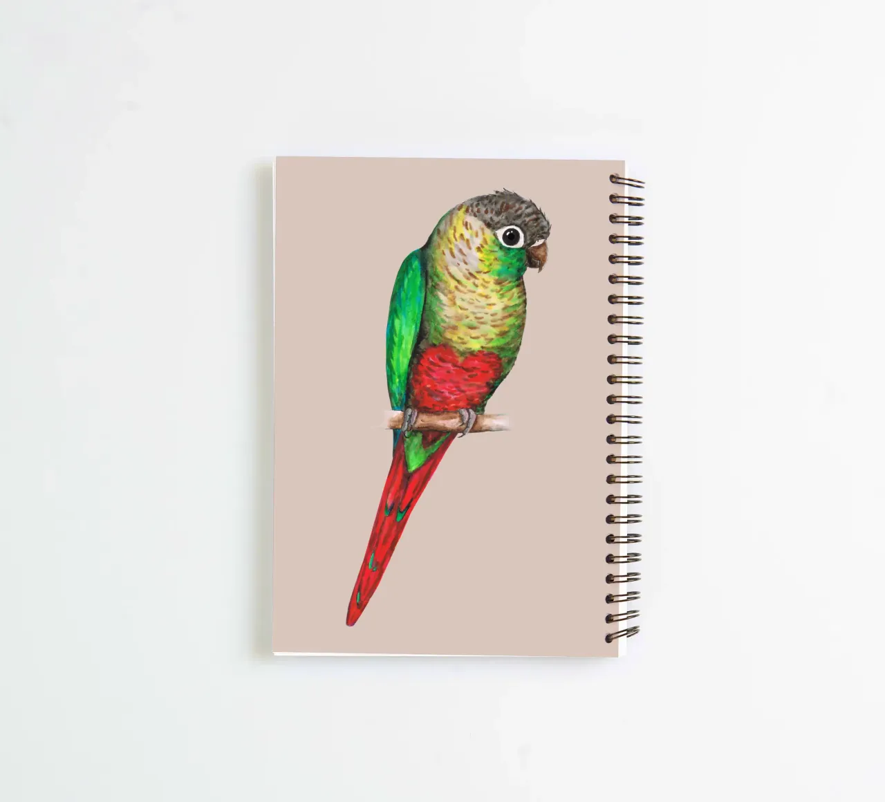Conure with a heart on its belly spiral notebook by BwiseLizzy