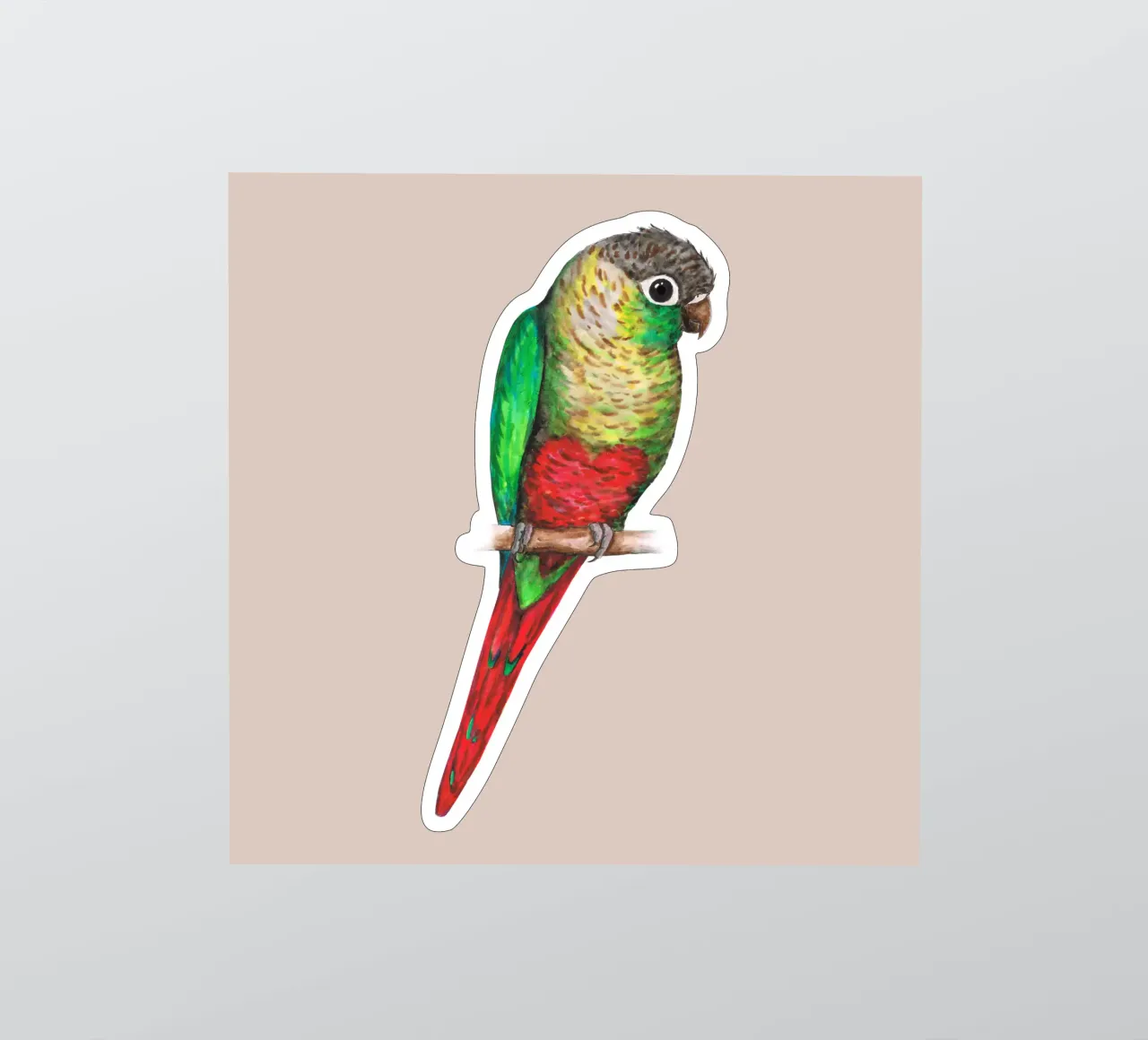 Conure con un corazón en el vientre pegatina de BwiseLizzy