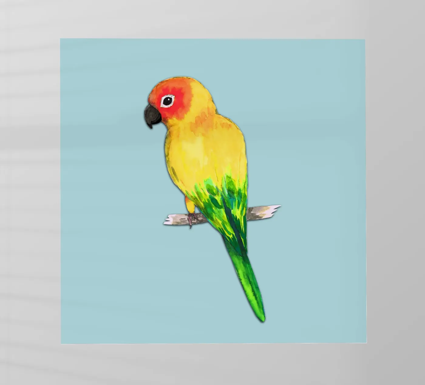 Sun conure pellicola backlit da BwiseLizzy