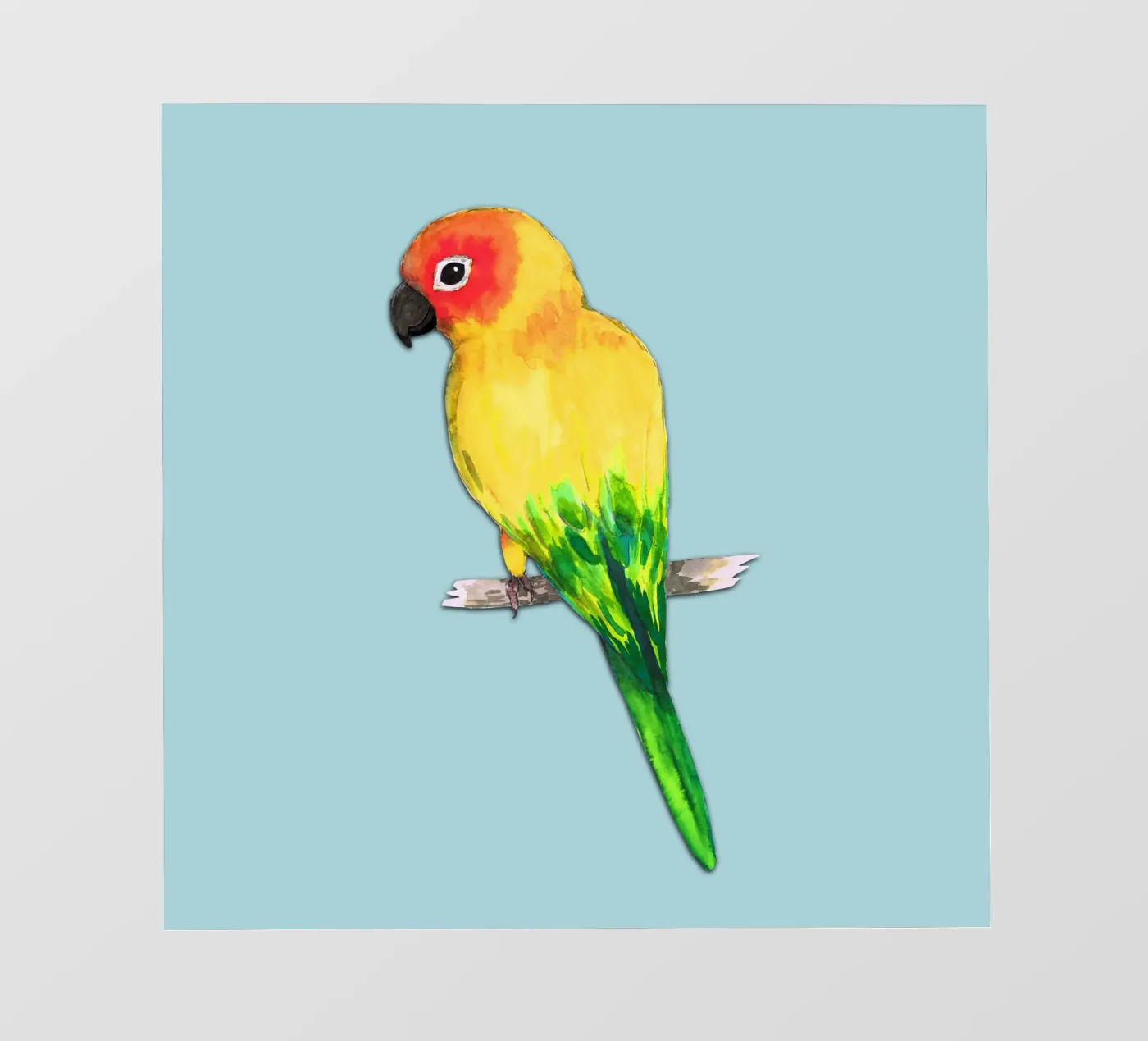 Sun conure pellicola backlit da BwiseLizzy