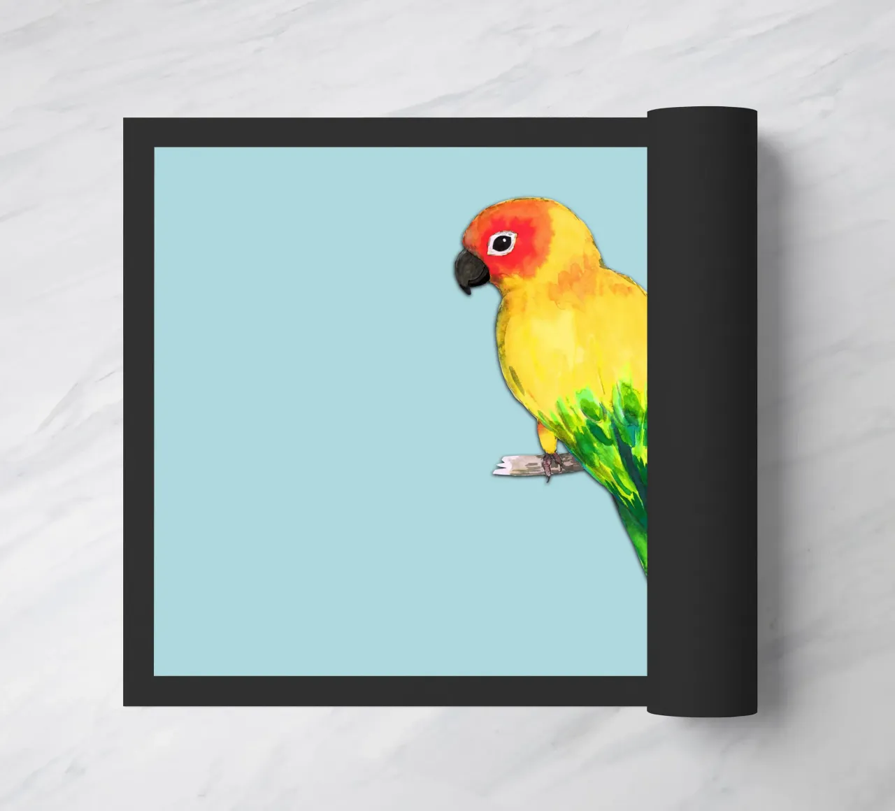 Sun conure zerbino da BwiseLizzy