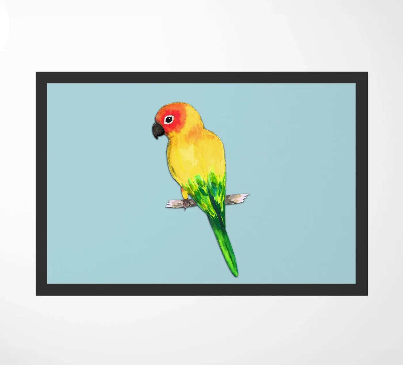 Sun conure zerbino da BwiseLizzy