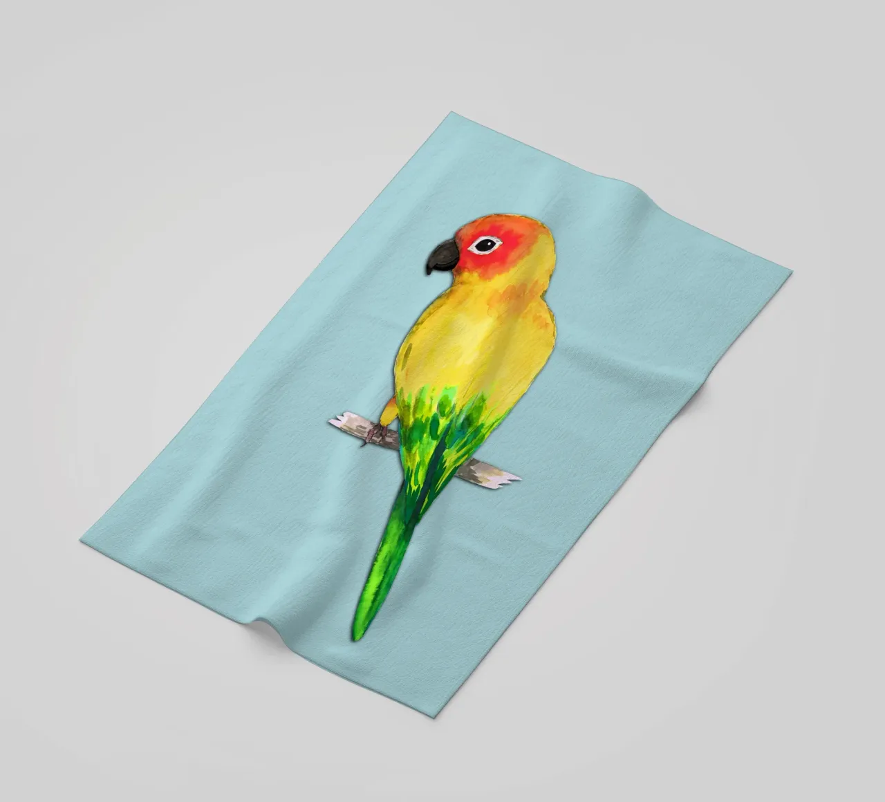 Sun conure telo mare da BwiseLizzy