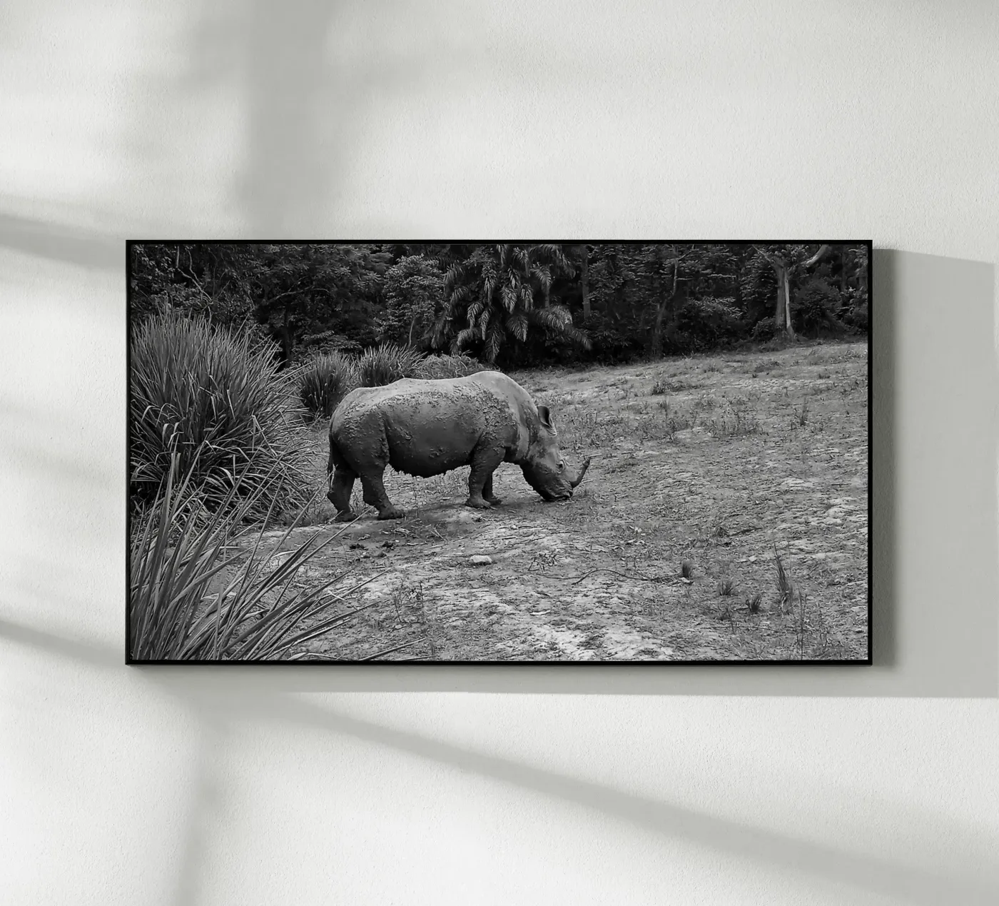 Rhinoceros plexiglass da Skyeaglephotography
